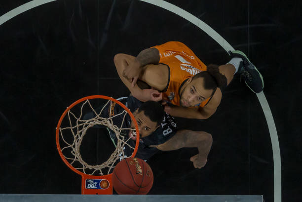 引入与本土 引入与本土